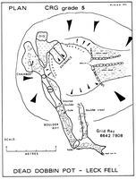 BUSS O4 Dead Dobbin Pot (Plan)